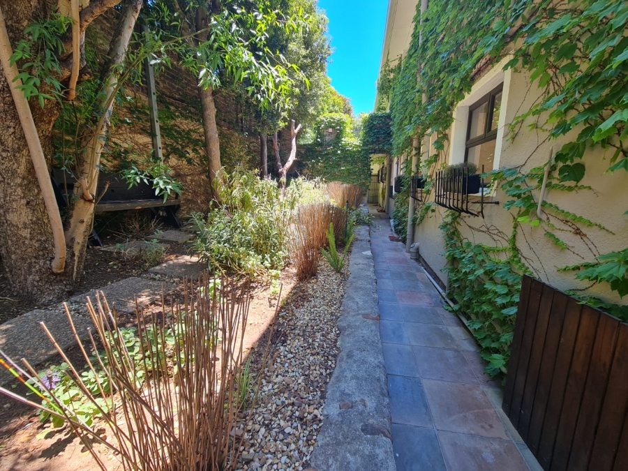To Let 1 Bedroom Property for Rent in Oranjezicht Western Cape